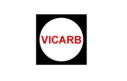 VICAEB��ά������